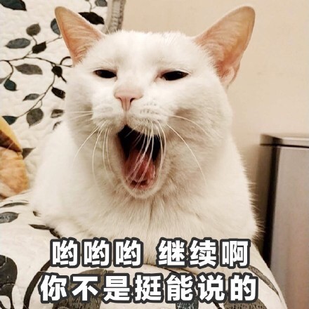 超治愈！这组软萌猫咪表情包太适合聊天斗图啦