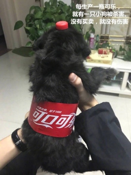 这套反常识的“没有买卖就没有杀害表情包