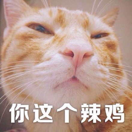 超治愈！这组软萌猫咪表情包太适合聊天斗图啦