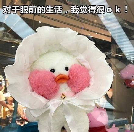 火出圈的玻尿酸鸭表情包来啦