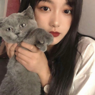 35张高清好看的女生抱猫头像合集