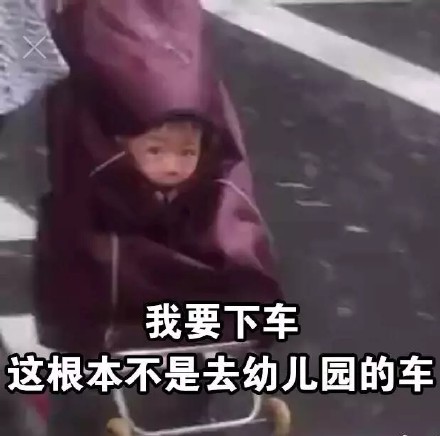 “我要下车！这不是去幼儿园的车”表情包合集来啦