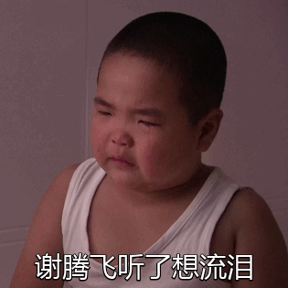 乡村爱情谢腾飞谢飞机专属动图表情包合集