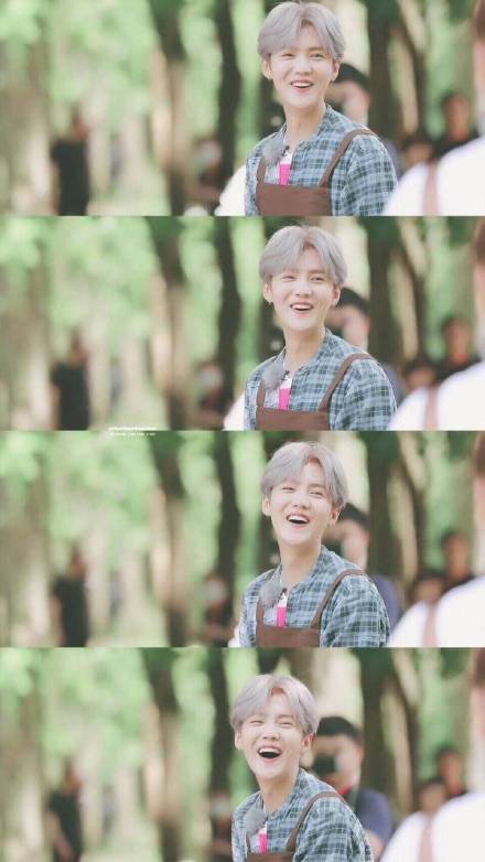 鹿晗手机壁纸合集来啦