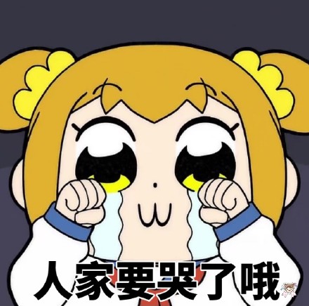 斗图党集合！pipi子和pop美专属表情包来啦