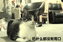 来大姨妈时的真实状态，这套表情包太懂了