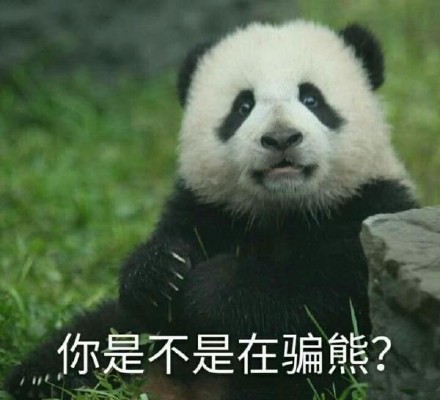 软萌熊猫滚滚表情包上新啦
