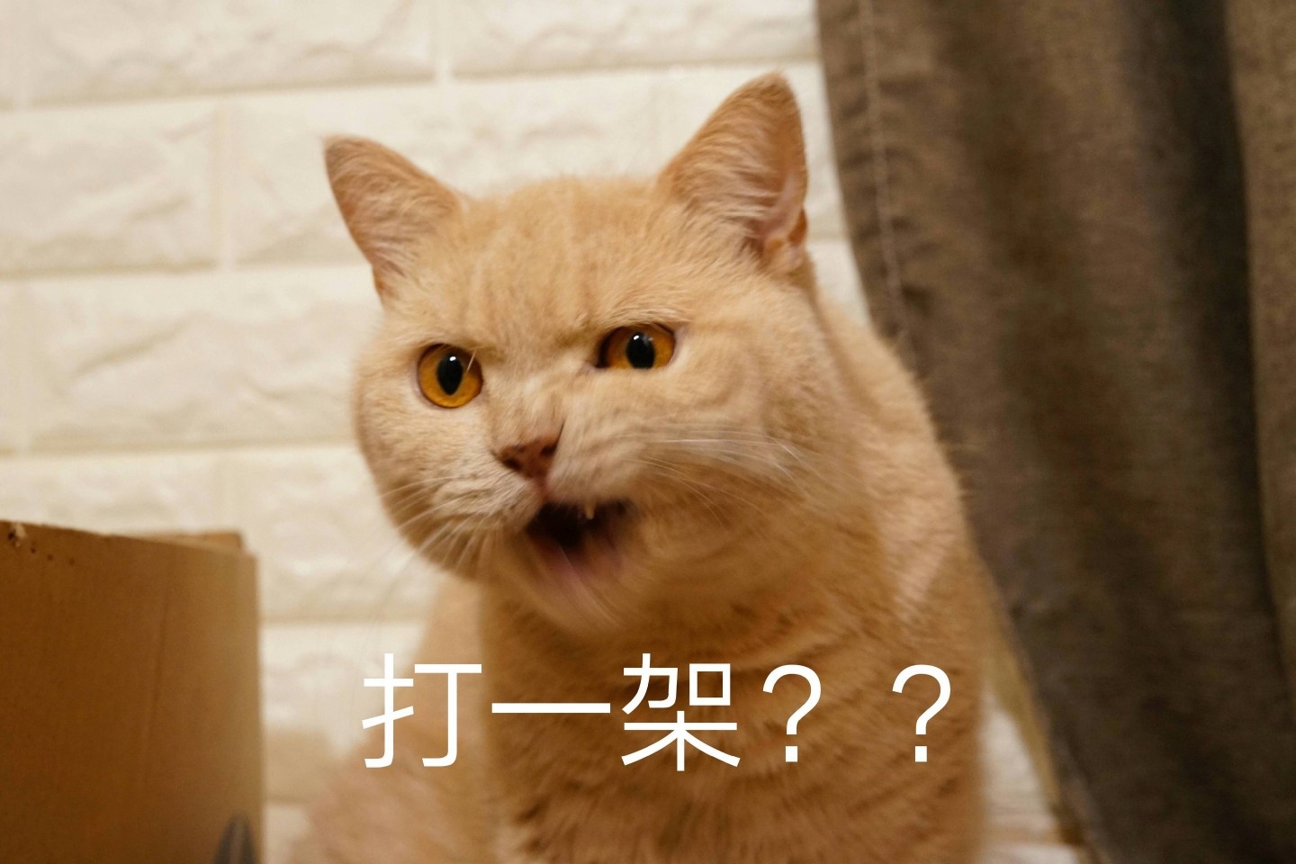 9月5日斗图表情包合集来了