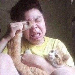 最近超火的无水印表情包来啦