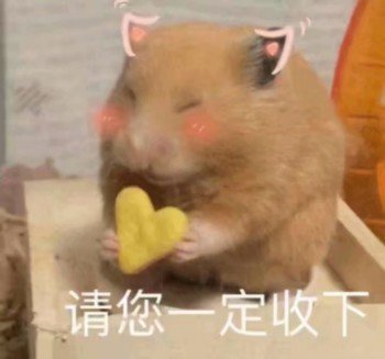 超萌仓鼠表情包合集来啦