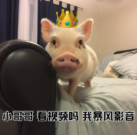 女生主动搭话男生的表情包合集来了