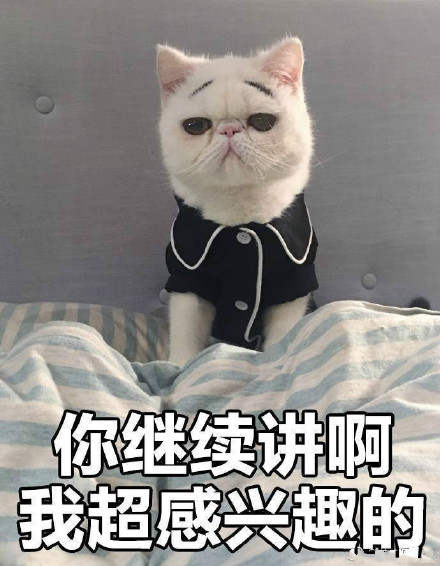 “我没有不开心”的喵咪丧气表情包来啦