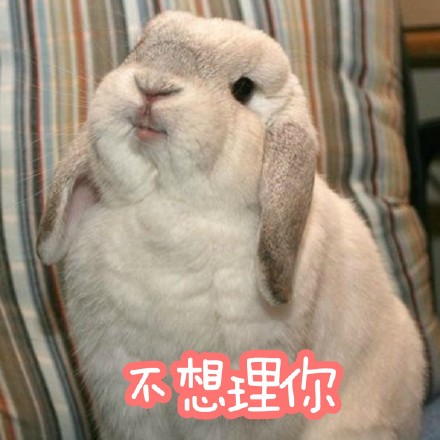 适合仙女用的小兔几表情包来啦