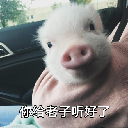 这套警告表情包火了！带降温提醒还自带反差萌