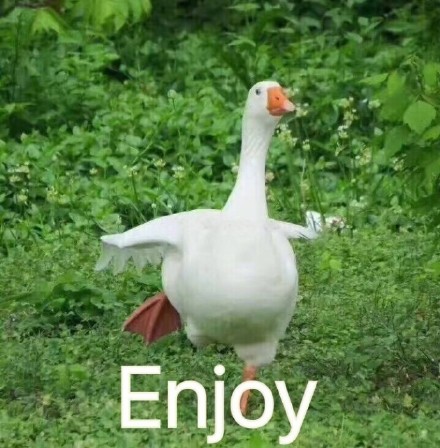 萌趣肥鹅表情包合集来啦