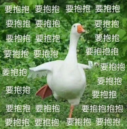 萌趣肥鹅表情包合集来啦
