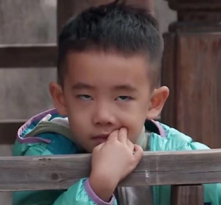 11月27日热门斗图表情包合集