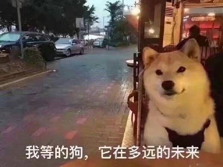 七夕单身狗专属表情包，戳中你的心巴