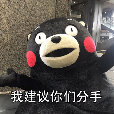 超实用熊本熊表情包合集整理