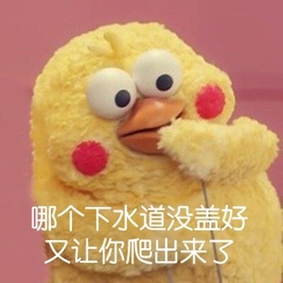 鹦鹉兄弟怼人表情包合集