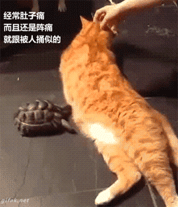 来大姨妈时的真实状态，这套表情包太懂了