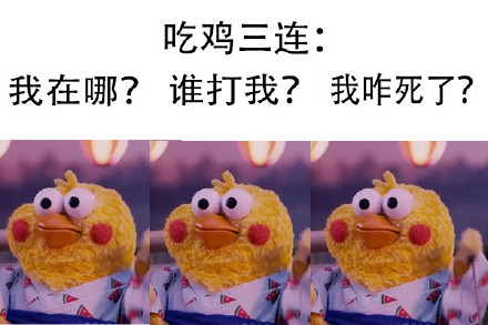 鹦鹉兄弟出新三连表情包啦！