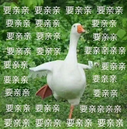 萌趣肥鹅表情包合集来啦