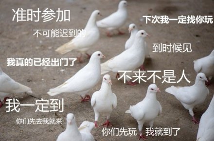 当代年轻人四大本命梗：鸽王、柠檬精、复读机还有真香