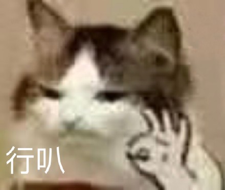 4月6日斗图表情包原图合集来啦