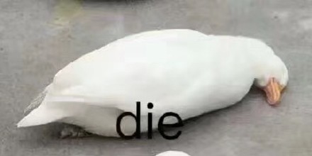 整理一波好用的斗图杂图合集