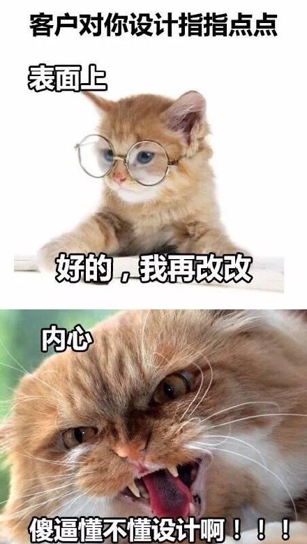 “是本人了”系列表情包火了！这套猫咪内涵表情太真实