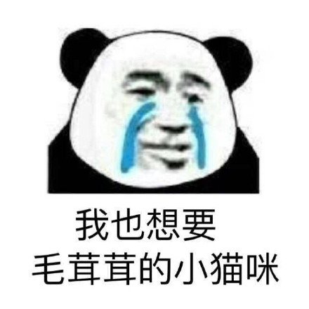 2月21日的表情包原图合集来啦