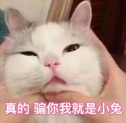 10月12日热门表情包合集来啦