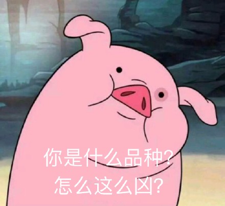 11月27日热门斗图表情包合集