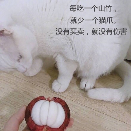 这套反常识的“没有买卖就没有杀害表情包