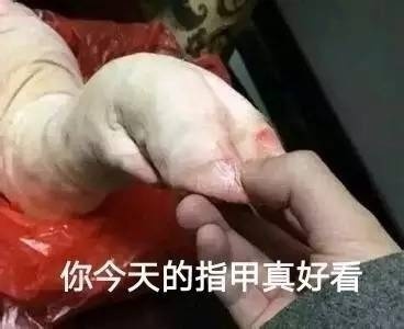 想握着你的手对你说！这套猪爪表情包太会撩了