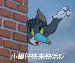 《猫和老鼠》汤姆猫专属表情包合集
