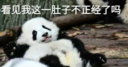 软萌熊猫滚滚表情包上新啦