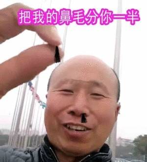 聊天斗图不愁了！热门无水印表情包合集来啦