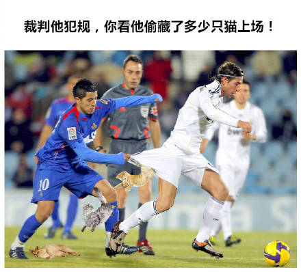 把世界杯换成吸猫现场！这套表情包让斗图秒变撸猫现场