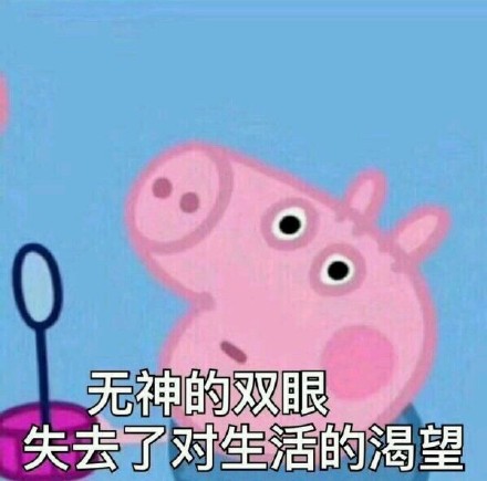 小猪佩奇表情包第二弹来啦