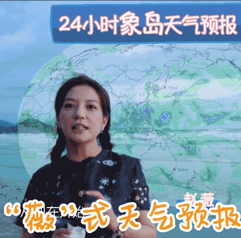 中餐厅店长赵薇的聊天动图表情包合集