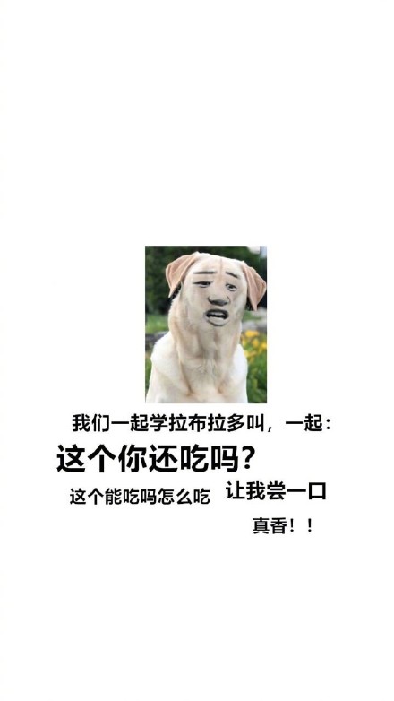 汪星人整活合集：跟着主人学叫的沙雕表情包来啦