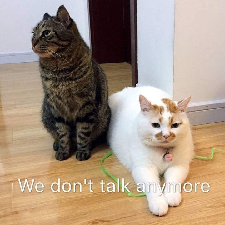 8月24日热门斗图表情包合集