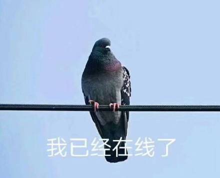 4月20日斗图表情包原图合集