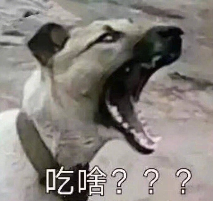 打工人必备！食堂大妈专属斗图表情包来啦