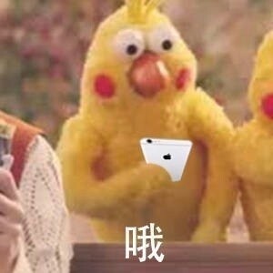女生经期结束后，男朋友的反应被这套表情包精准拿捏了