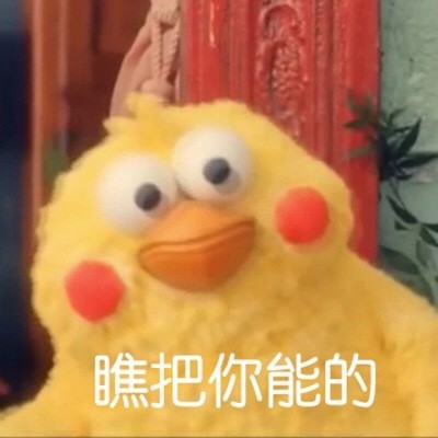 鹦鹉兄弟怼人表情包合集