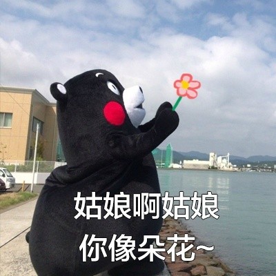 用熊本熊撩妹撩汉？这套表情包太会了