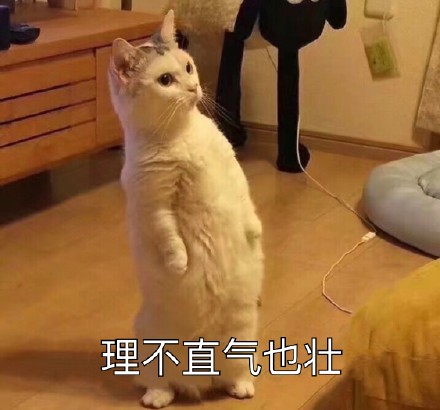 12月7日热门斗图表情包合集